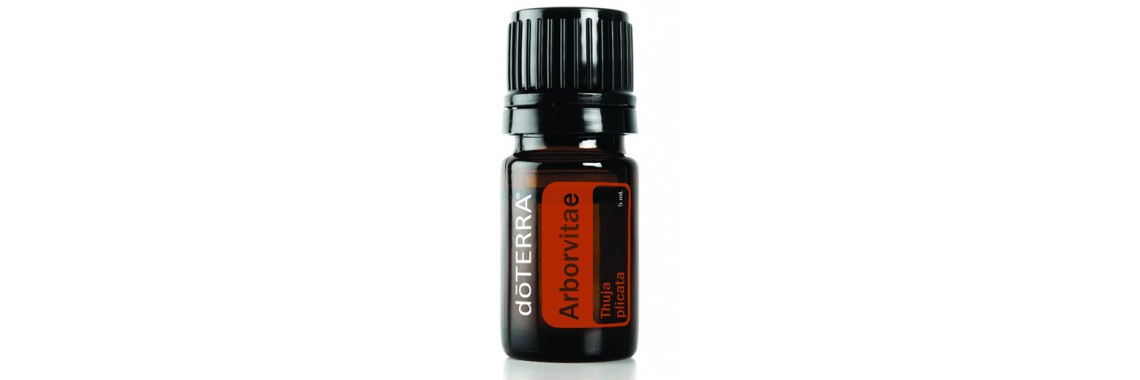 Arborvitae 100% Pure Oil -  5 ml