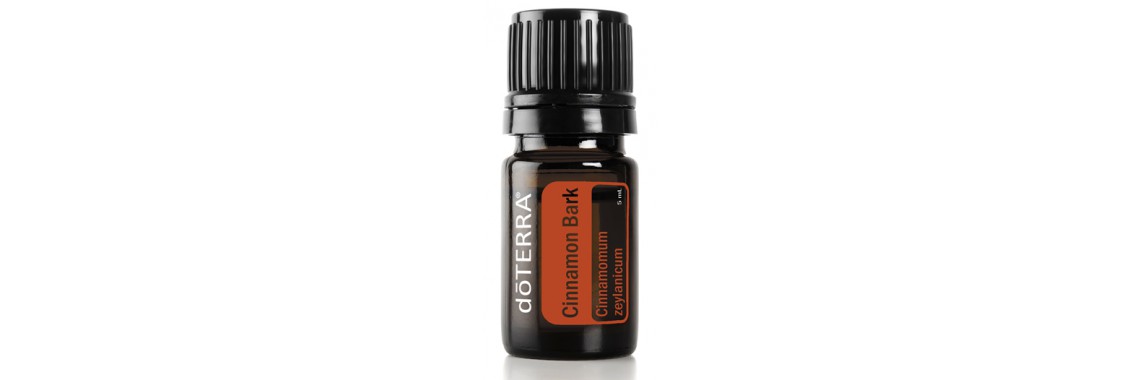 Cinnamon Bark 100% Pure Oil -  5 ml