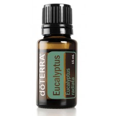 Eucalyptus 100% Pure Oil -  15 ml