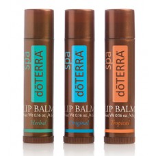 SPA Lip Balm -  3 Pack